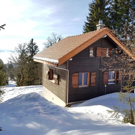 Chalet Chalet De La Vue Des Alpes By Interhome エクステリア 写真