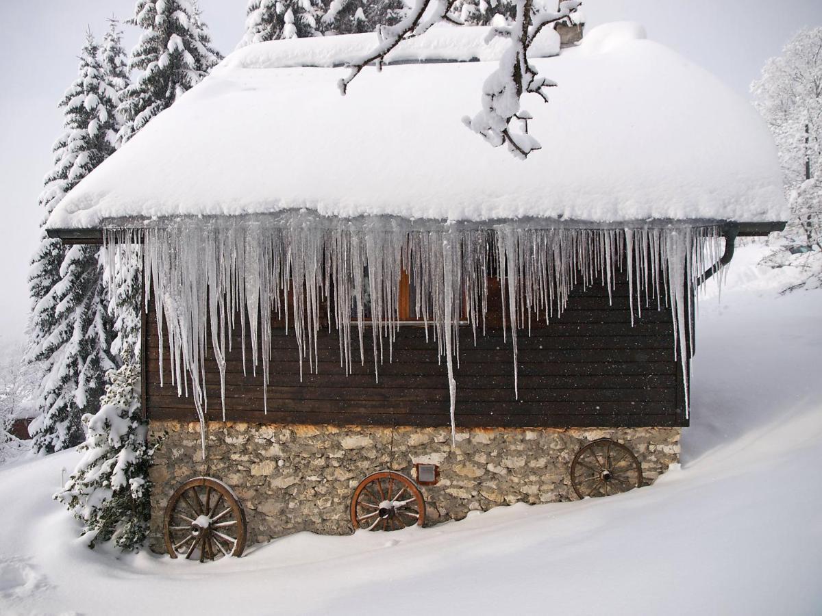 Chalet Chalet De La Vue Des Alpes By Interhome エクステリア 写真